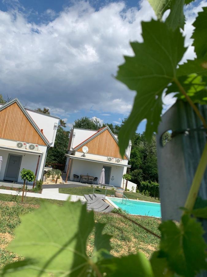 Weinberg Chalets Eisenberg an der Pinka Exterior foto